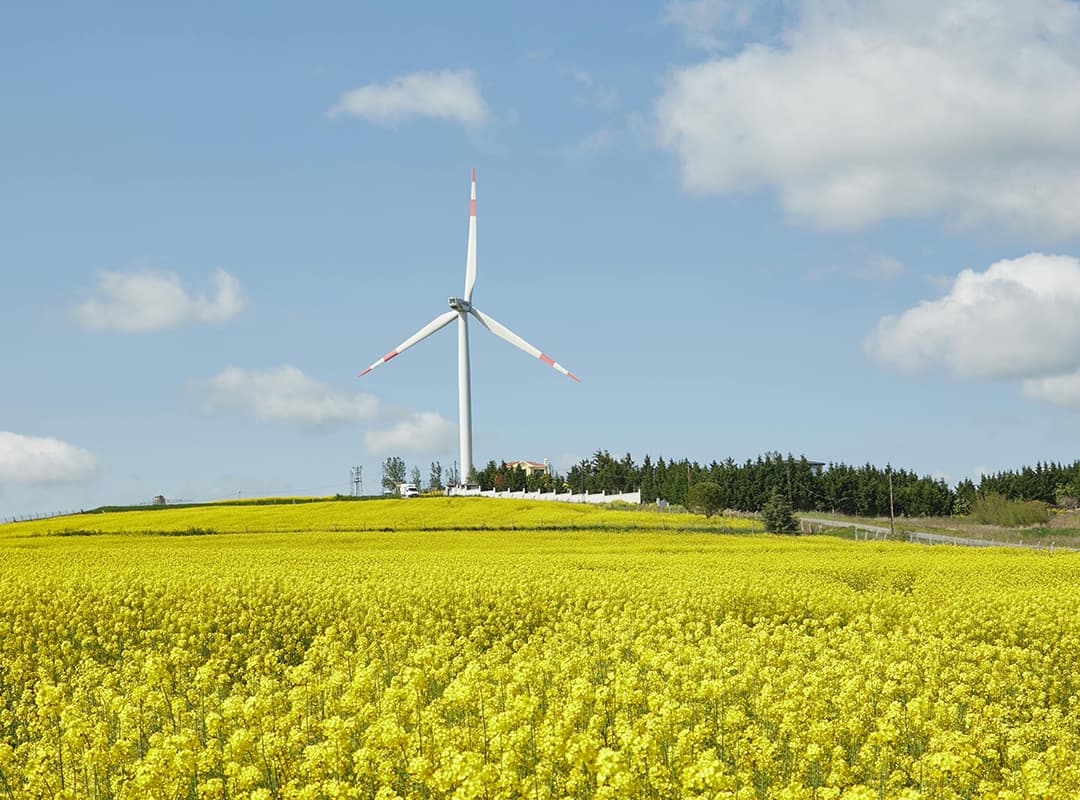 Windmühle